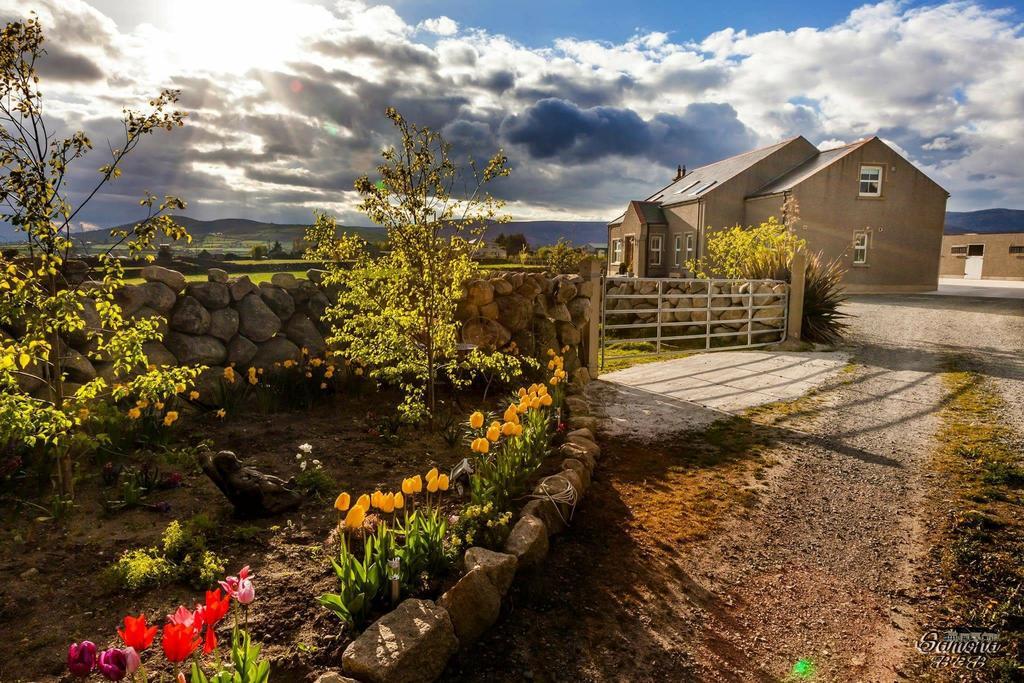 Bed and Breakfast Samona Kilkeel Exterior foto